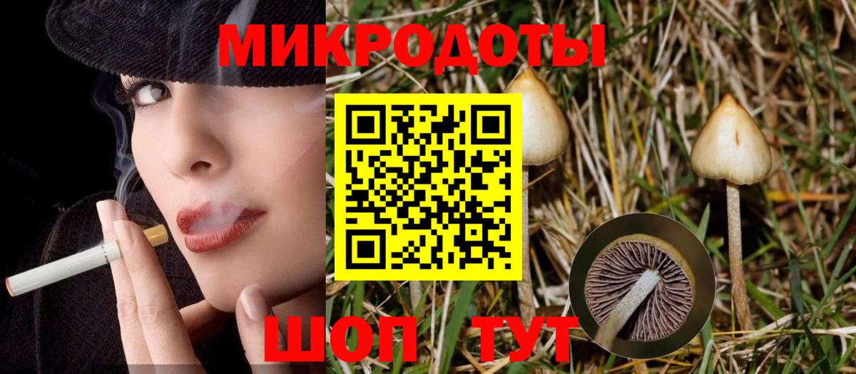 Псилоцибиновые грибы Psilocybine cubensis  Вход с VPN  Галлюциногенные грибы Psilocybine cubensis  Подольск 